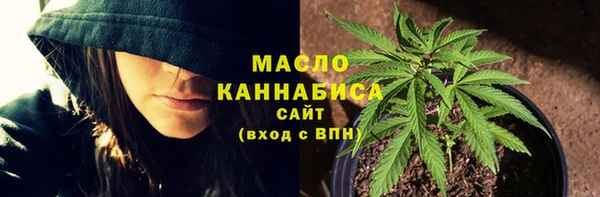 ПСИЛОЦИБИНОВЫЕ ГРИБЫ Арсеньев