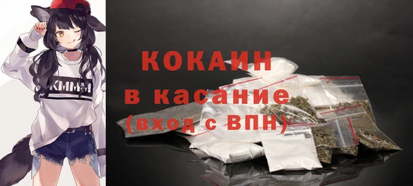 стаф Аркадак