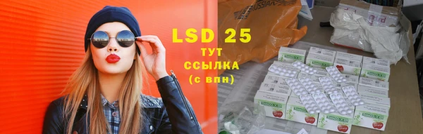 ПСИЛОЦИБИНОВЫЕ ГРИБЫ Арсеньев