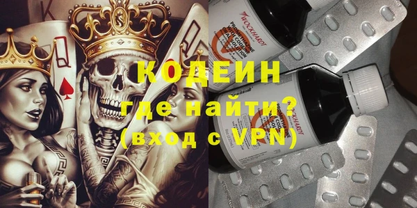стаф Аркадак