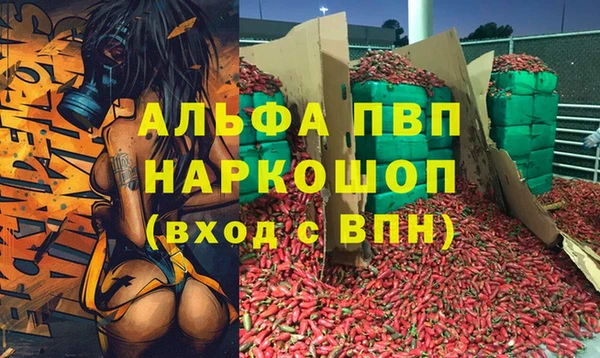 прущие грибы Армянск