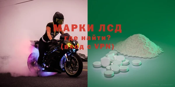 прущие грибы Армянск