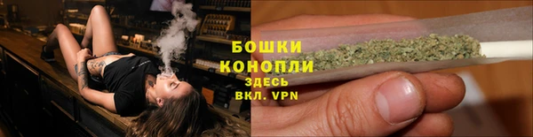 ПСИЛОЦИБИНОВЫЕ ГРИБЫ Арсеньев