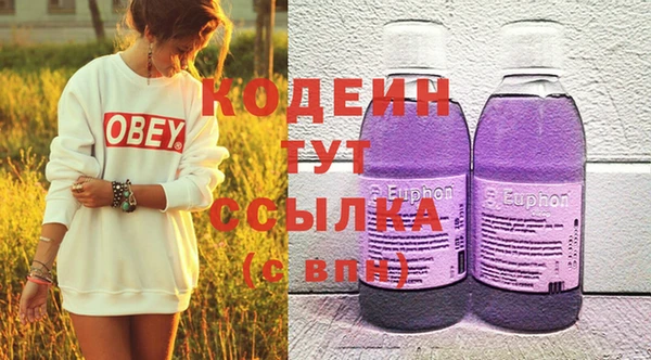 ПСИЛОЦИБИНОВЫЕ ГРИБЫ Арсеньев