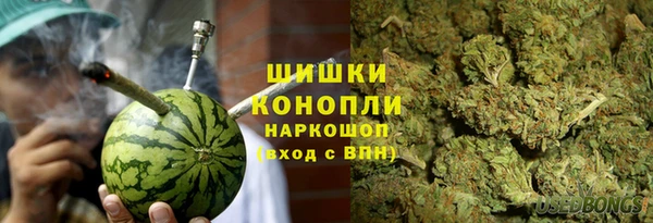 прущие грибы Армянск