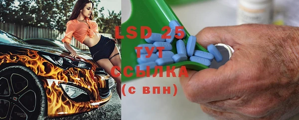 прущие грибы Армянск